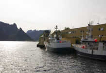 Tåler fiskene i havet hetebølger